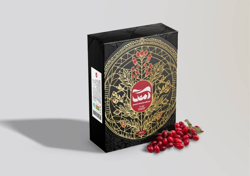 Semnan University, Motahare Moattali